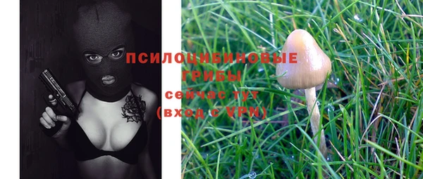 ECSTASY Заволжск