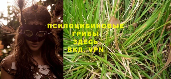 тгк Заводоуковск