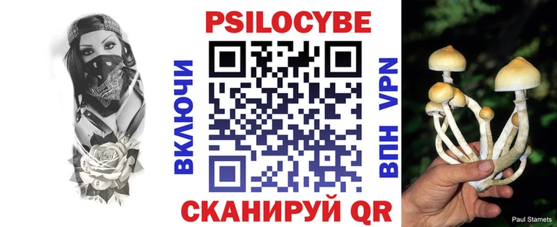 Галлюциногенные грибы Psilocybe  Купить где  Качканар 